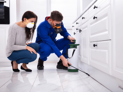 About Altona Pest Control - pest control experts in Altona, Melbourne