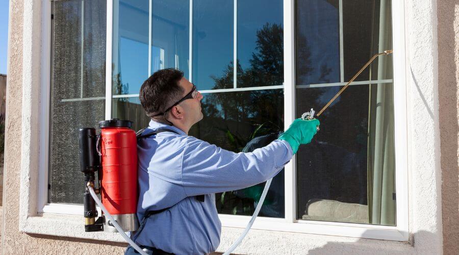 Professional pest control services in Altona, Melbourne